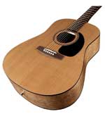 Acoustic Guitars