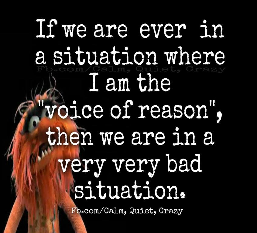 If_I_am_ever_the_voice_of_reason_we_re_in_TROUBLE.jpg