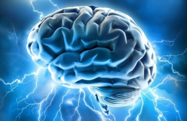 brain.jpg