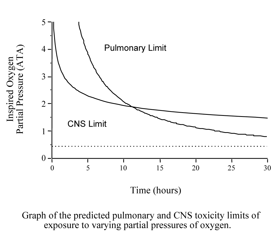 lung_vs_cns_toxicity.jpg