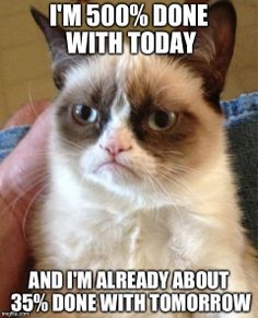 sadcat.jpg