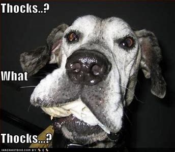 thocks.jpg