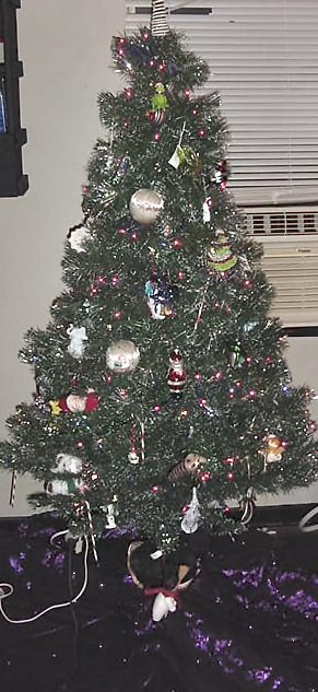 tree.jpg